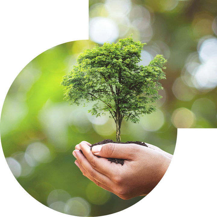 关怀人类、文化、环境与社会